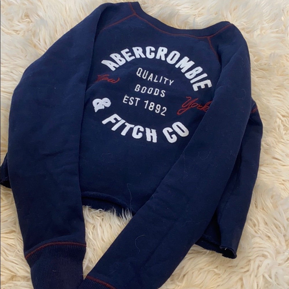 Abercrombie and Fitch Sweatshirt